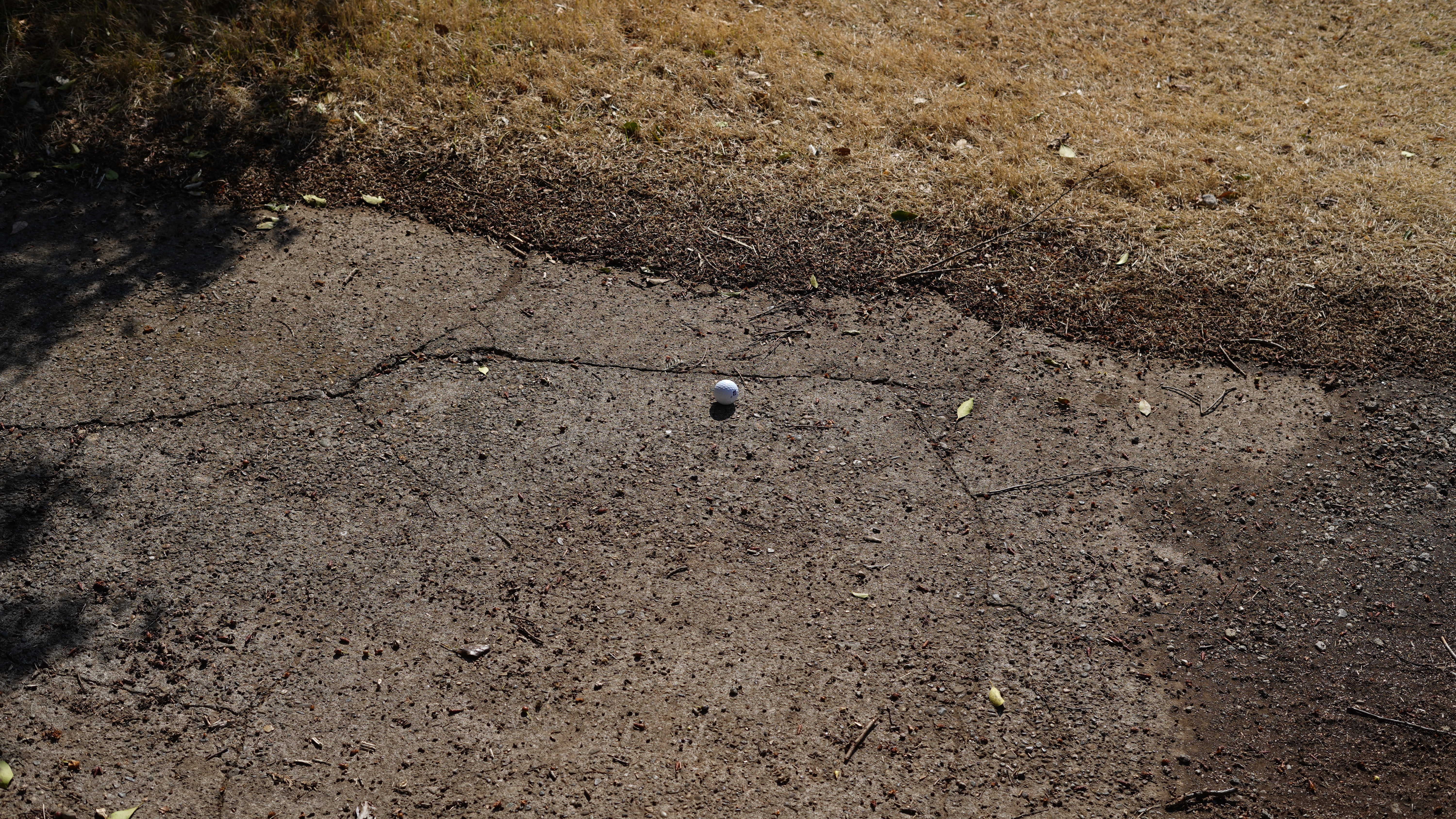 カート道からの救済方法