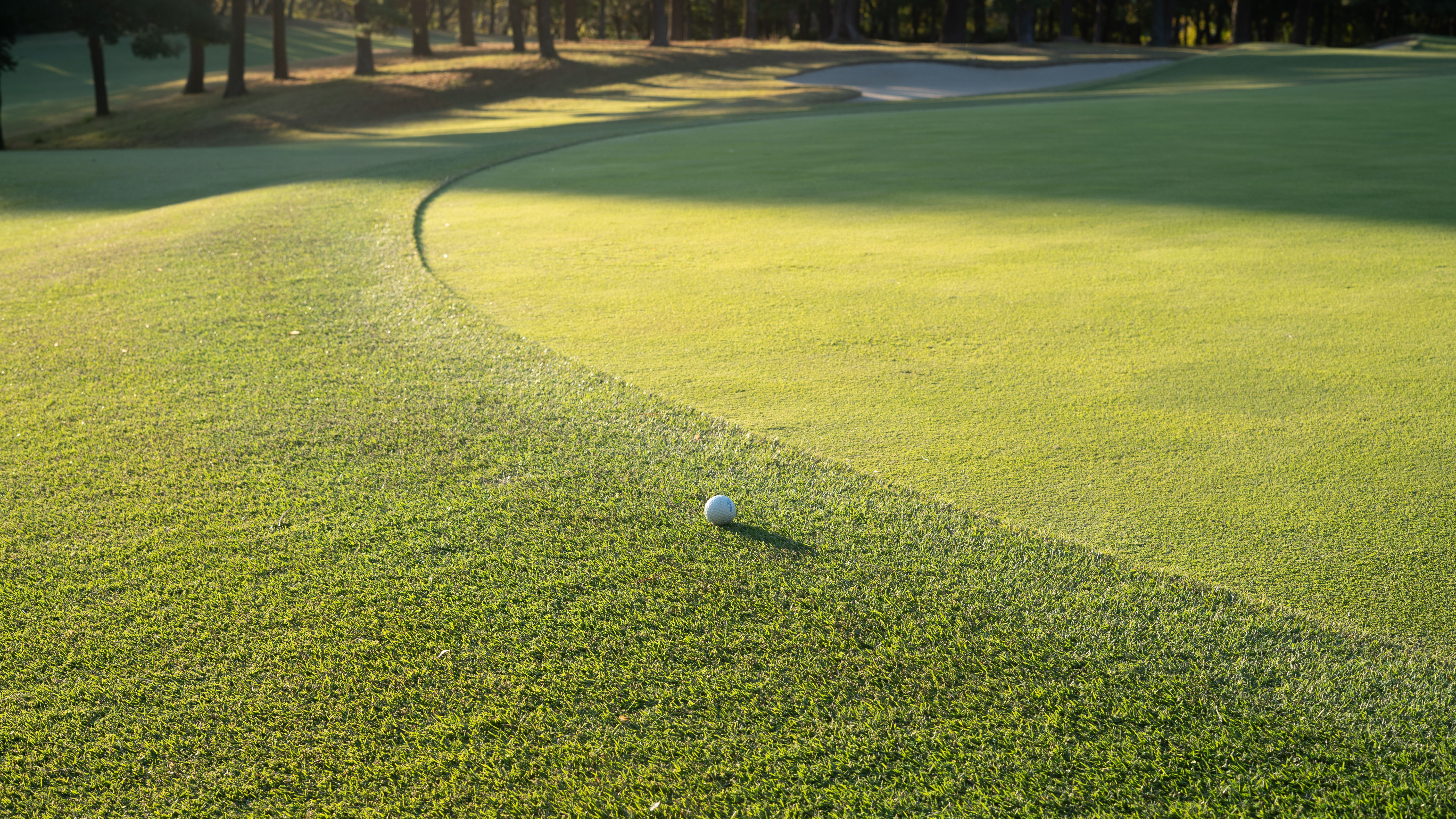 カラーのルール