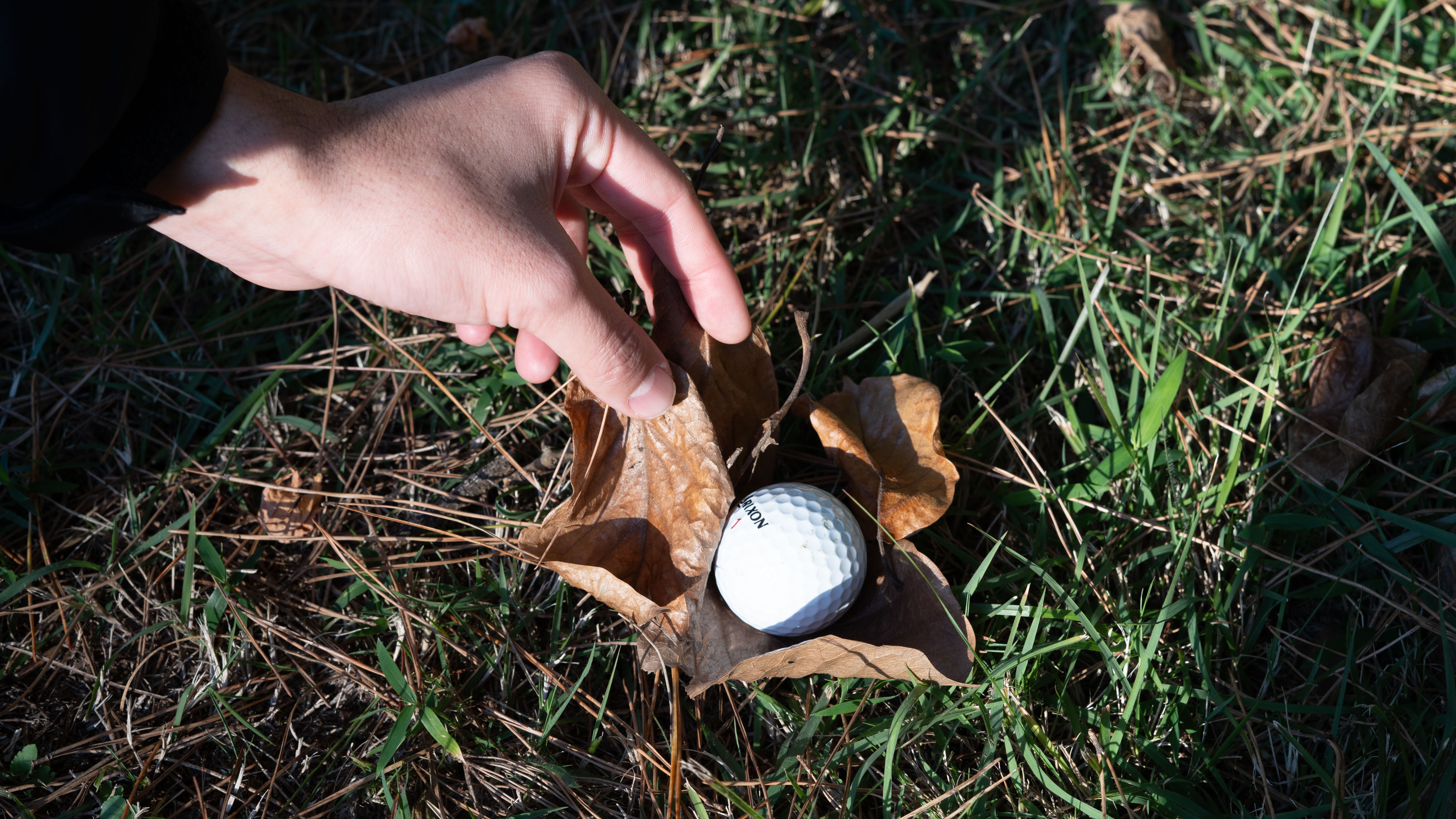 ボールを誤って動かしてしまった場合の処置方法