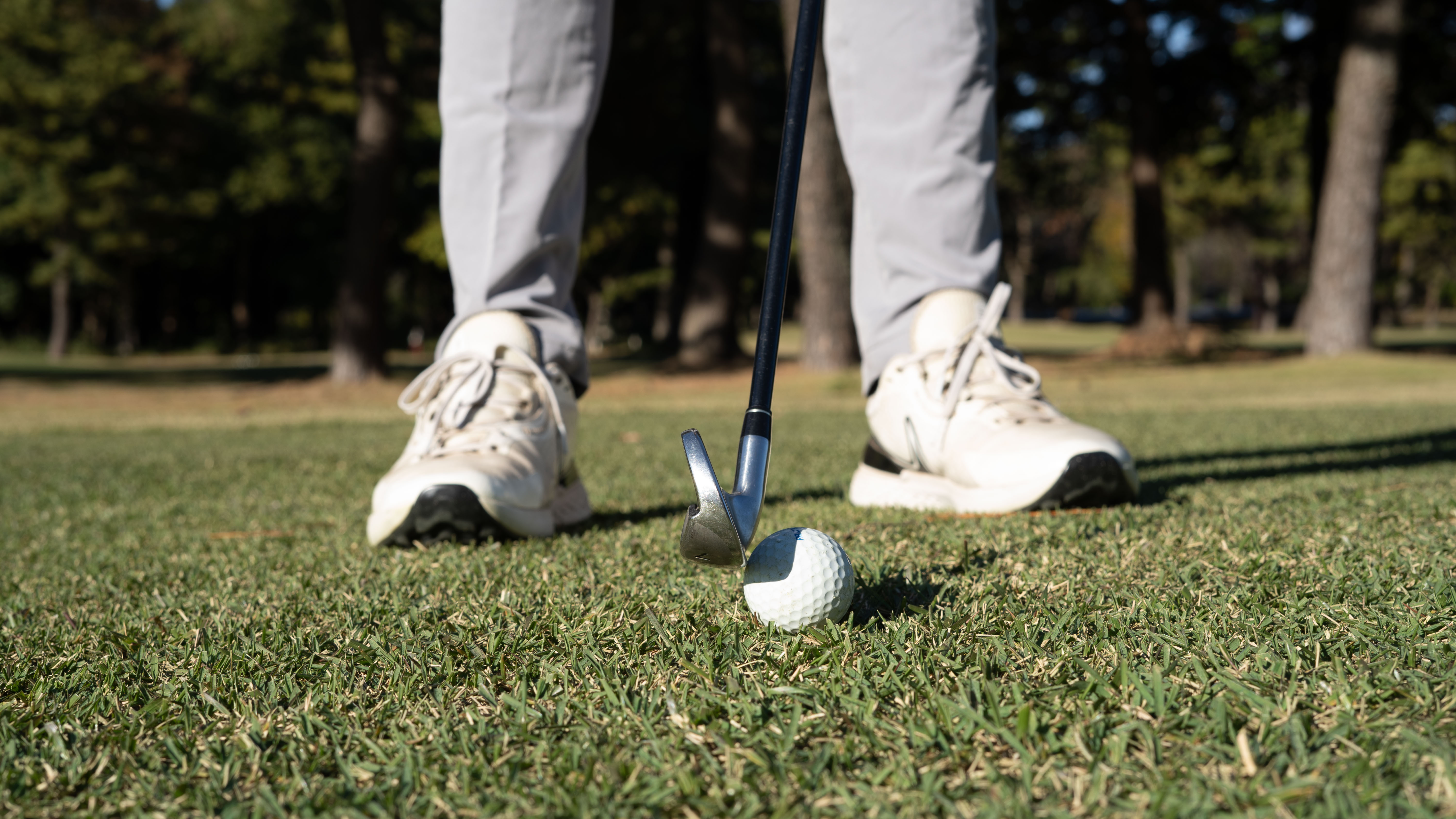 ボールを動かした