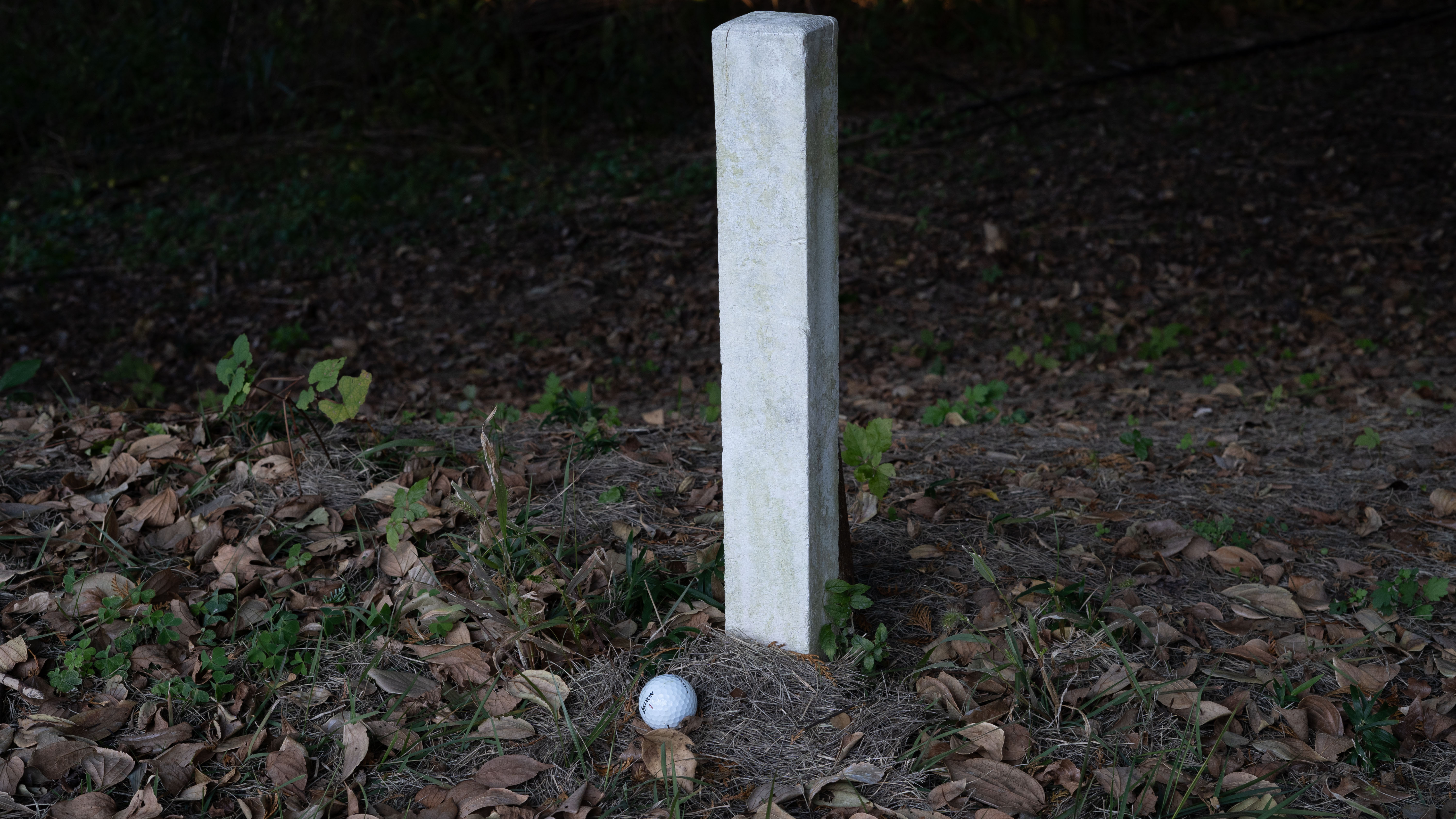 ゴルフのルール