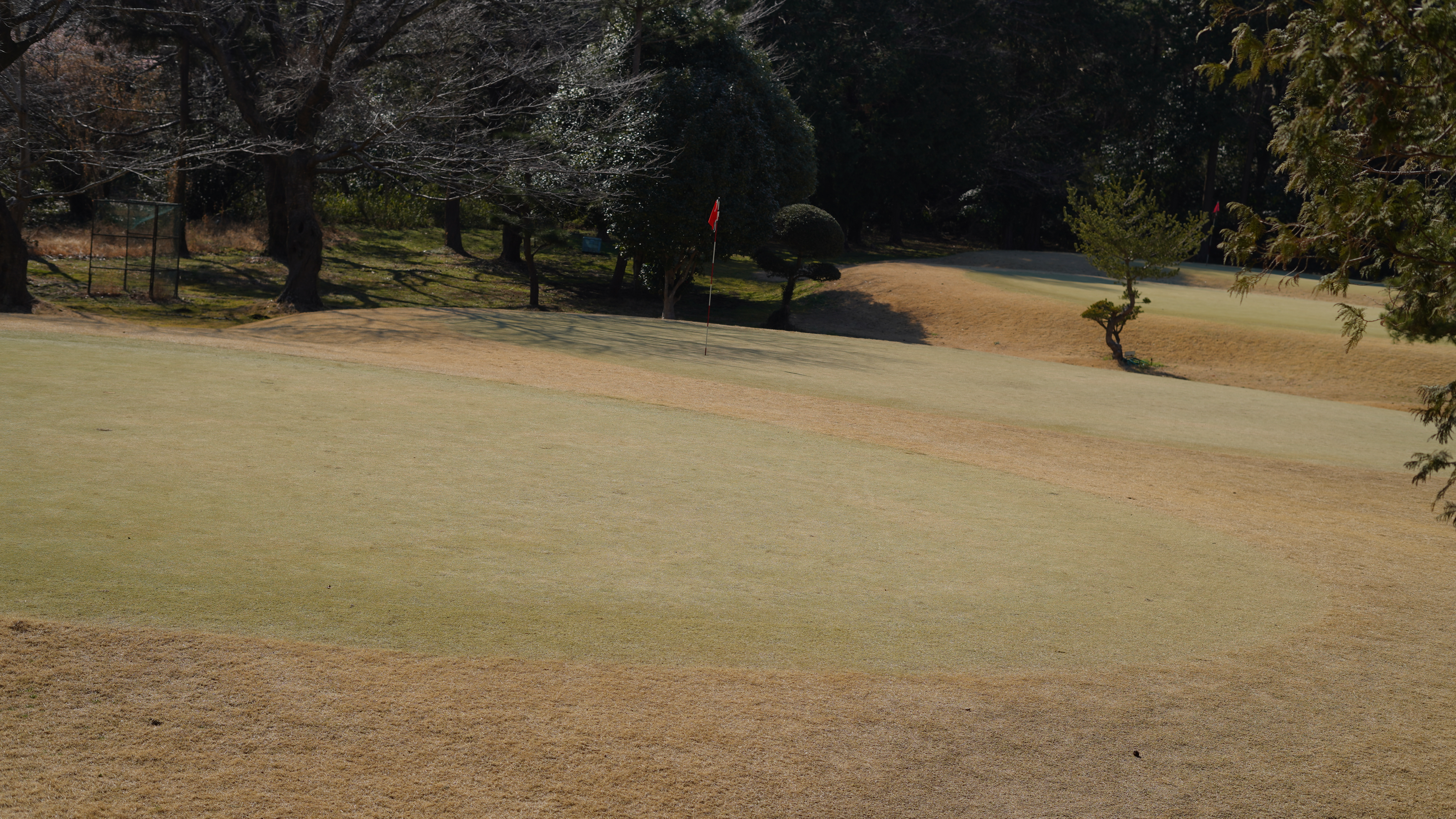 サブグリーンの意外と複雑なルールについて徹底解説