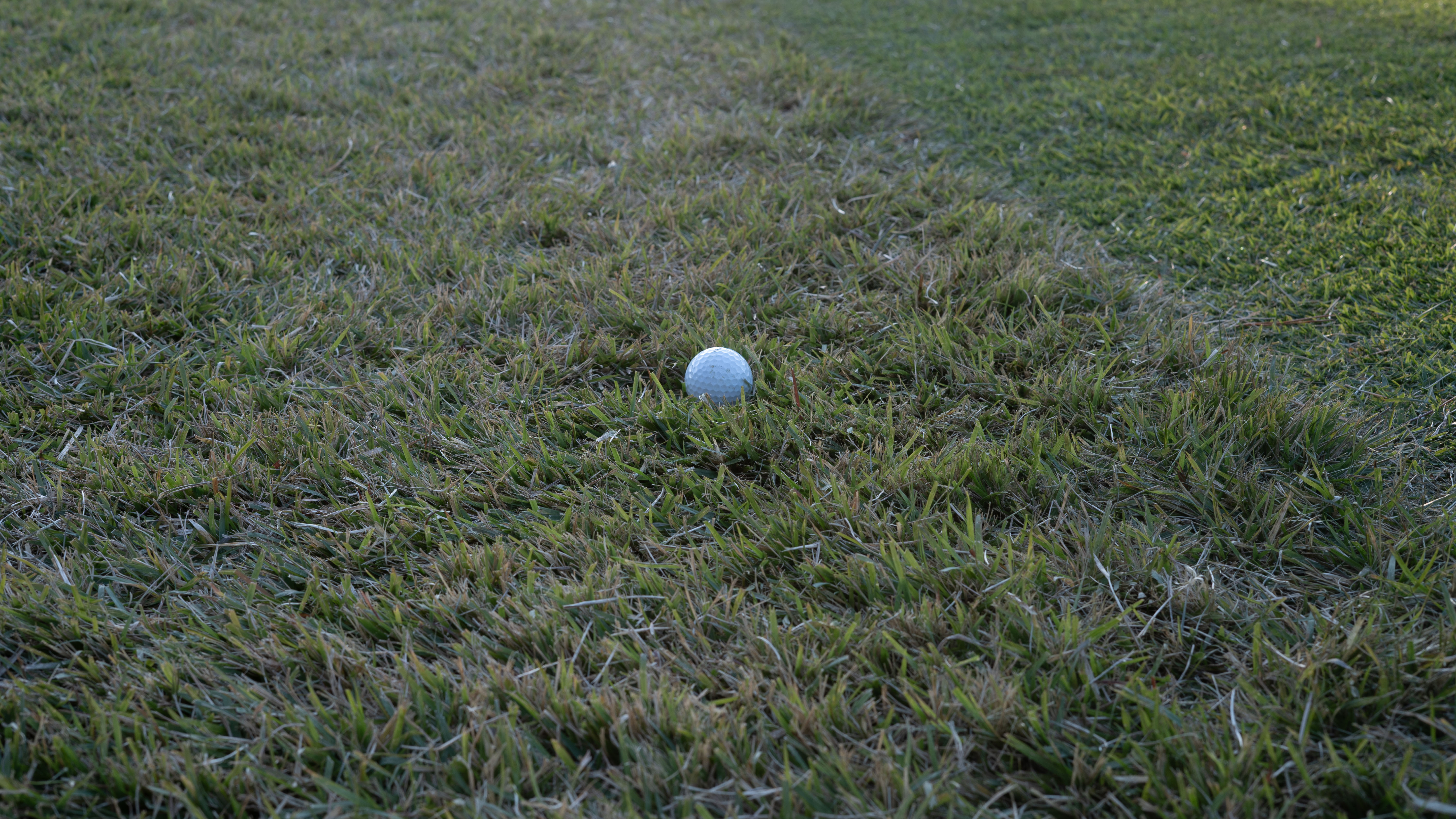 ボールをくぐる