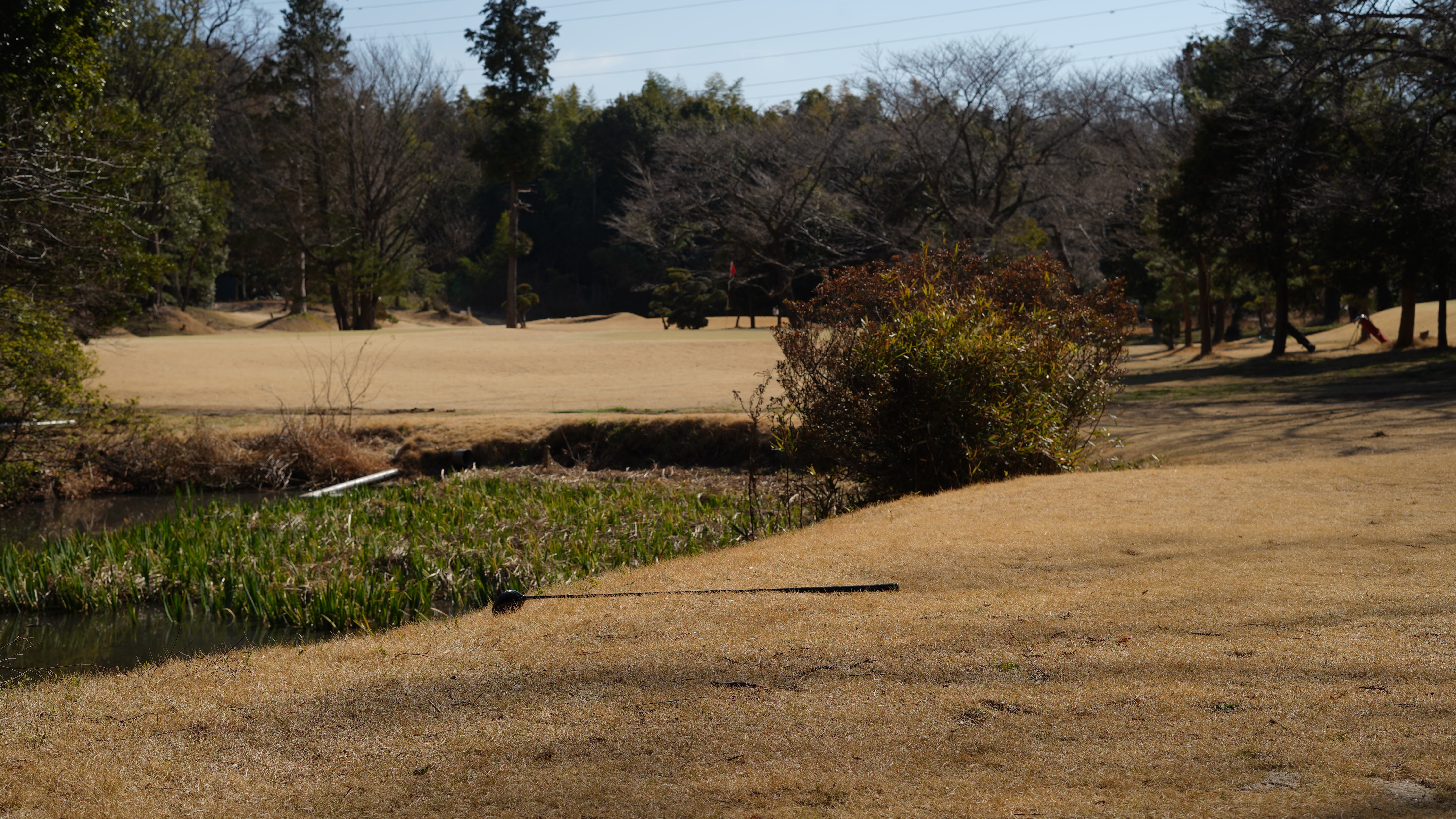 2クラブレングス