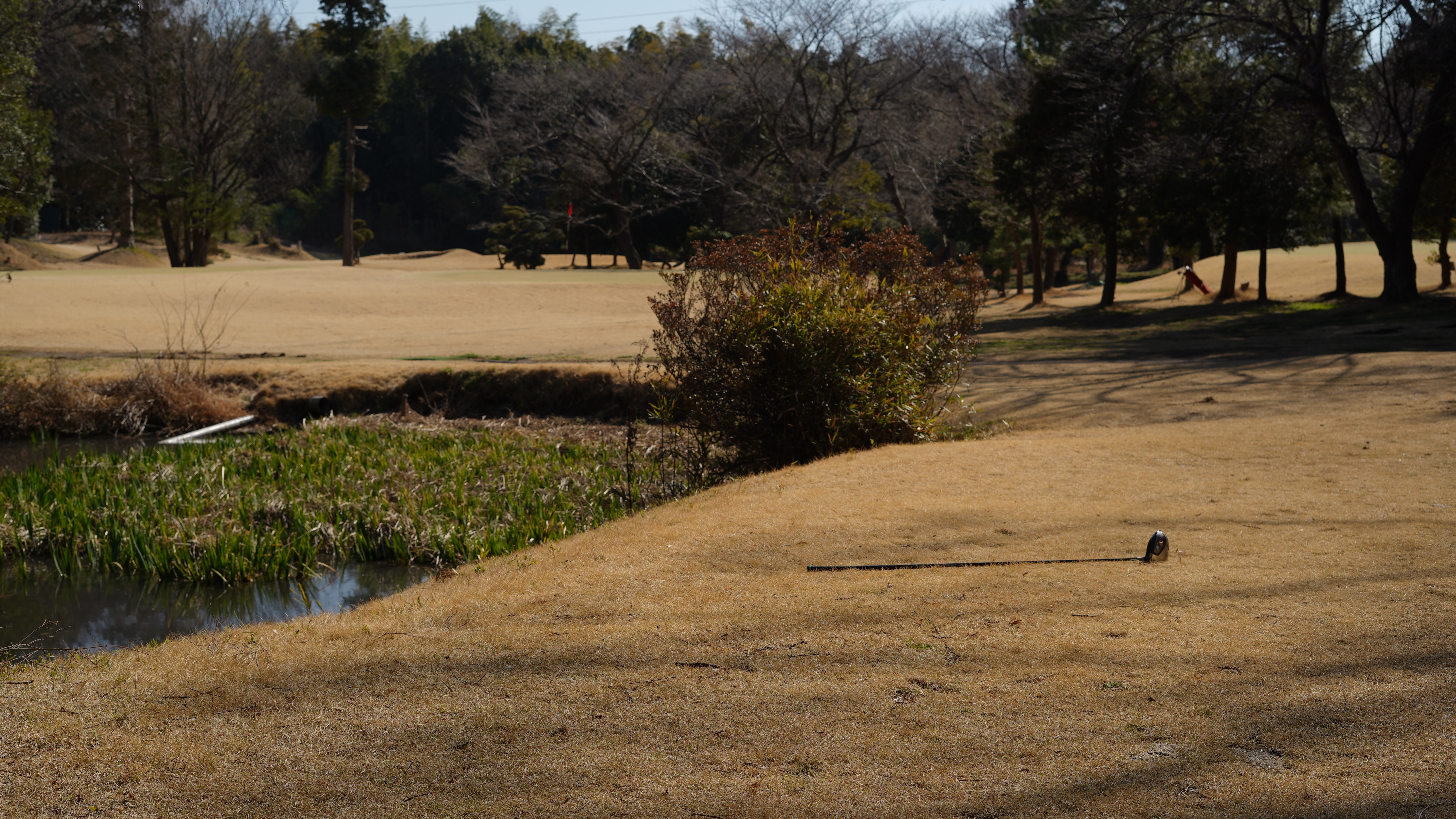 2クラブレングス