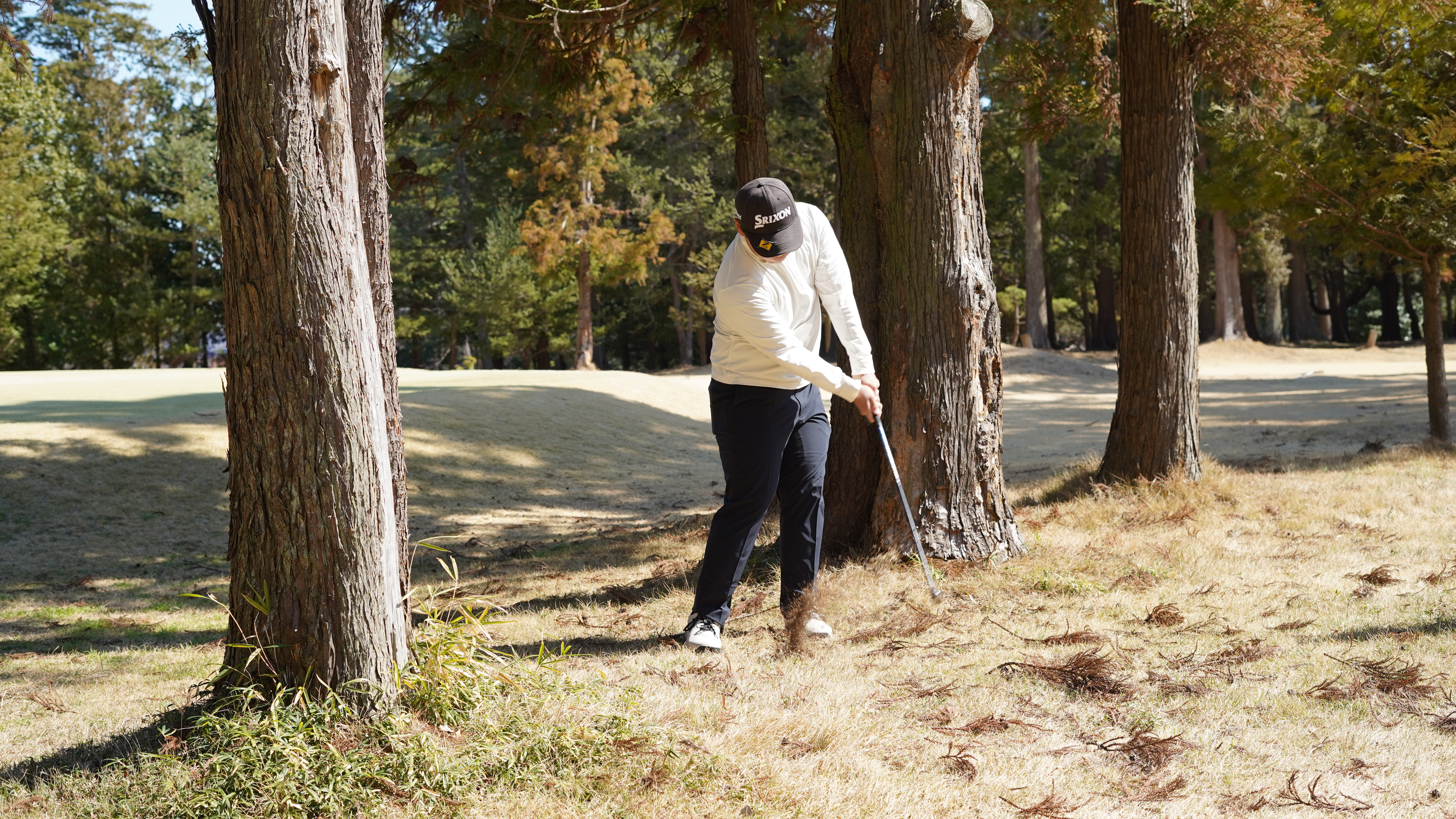 コンパクトなスイング