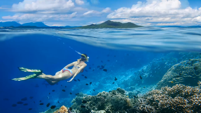 PhotoMirage™ Express