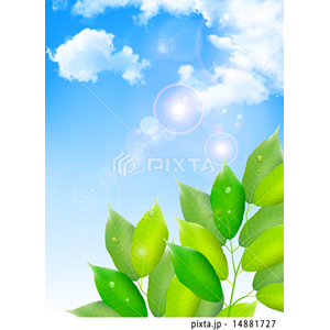 CG2（イラスト5,905点）