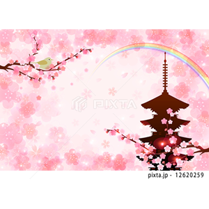 CG2（イラスト5,905点）