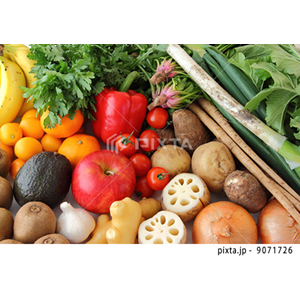 食べ物・飲み物（写真2,870点）