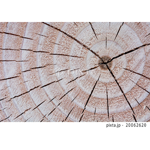 抽象・テクスチャ・記号（写真1,098点）