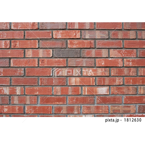 抽象・テクスチャ・記号（写真1,098点）