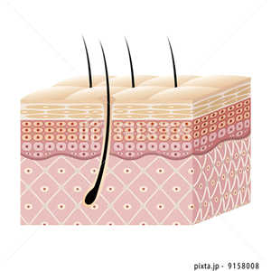 医療・美容・健康（イラスト3,885点）