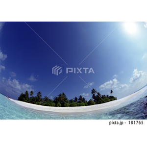 自然・風景（写真4,489点）