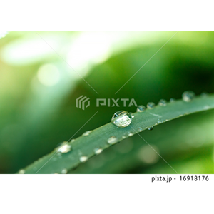 その他イメージ（写真1,797点）