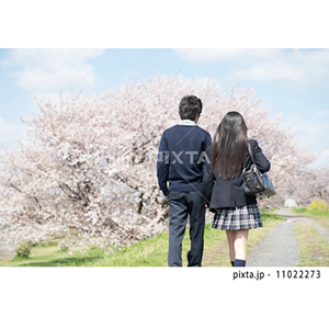 学校（写真2,672点）