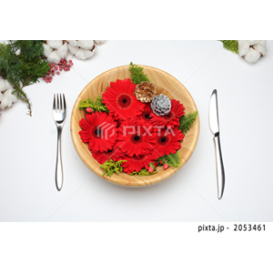 動物・植物（写真3,200点）