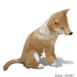 動物・植物（イラスト3,811点）