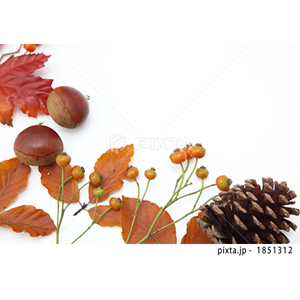 自然・風景（写真4,489点）