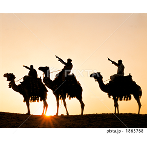 自然・風景（写真4,489点）