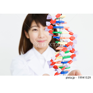 その他イメージ（写真1,797点）