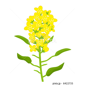 動物・植物（イラスト3,811点）