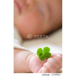 ファミリーライフ（写真2,715点）