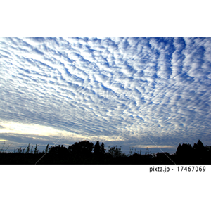 自然・風景（写真4,489点）