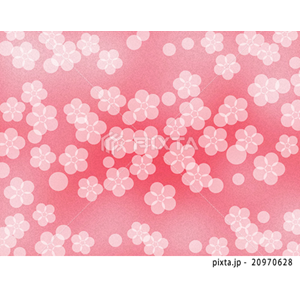 CG2（イラスト5,905点）