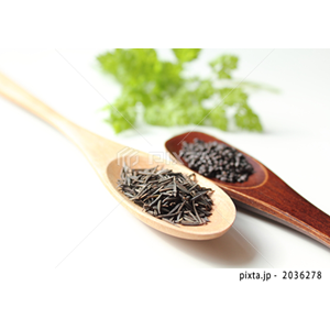 ライフスタイル（写真2,206点）