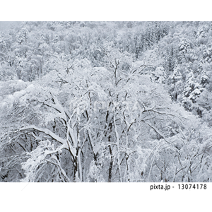 季節（写真4,568点）