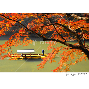 乗り物・交通（写真3,427点）