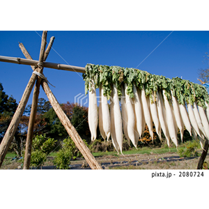 自然・風景（写真4,489点）
