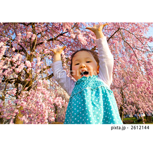 季節（写真4,568点）