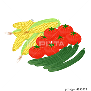 食べ物・飲み物（イラスト1,303点）