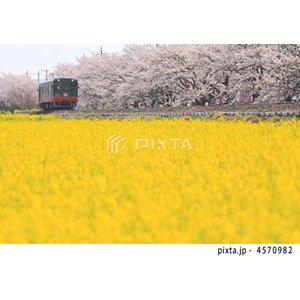 乗り物・交通（写真3,427点）