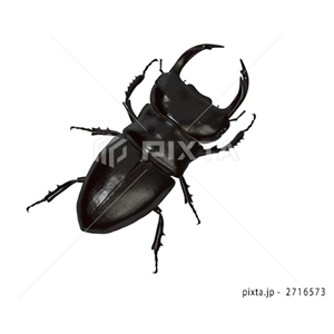 季節（イラスト3,478点）