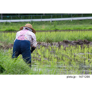 自然・風景（写真4,489点）