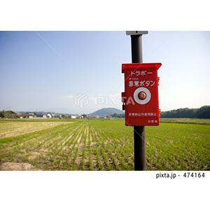 自然・風景（写真4,489点）