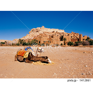 自然・風景（写真4,489点）