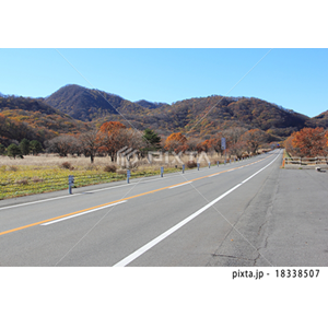 乗り物・交通（写真3,427点）