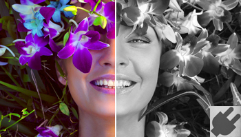 プラグインに関する新着情報