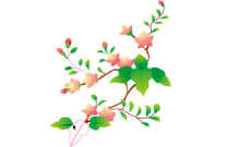 イラスト