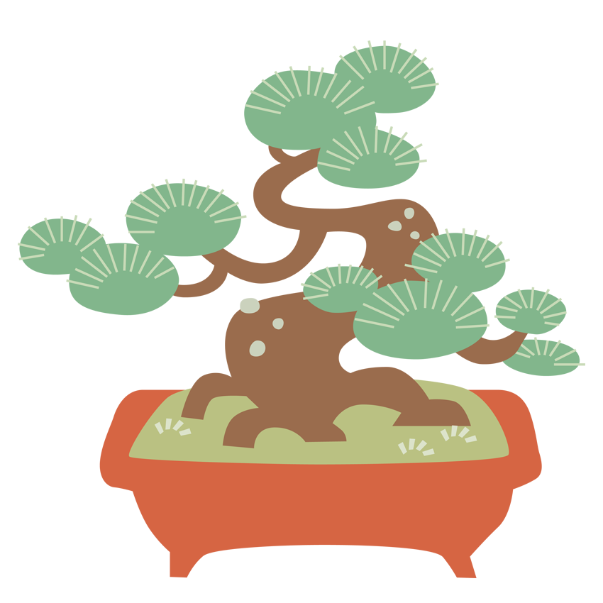 植物