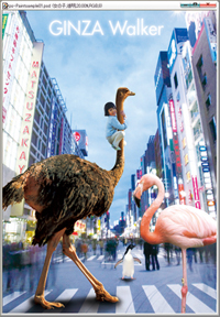 レイヤ機能で合成・編集