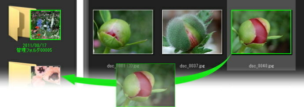 写真の移動は簡単なマウス操作