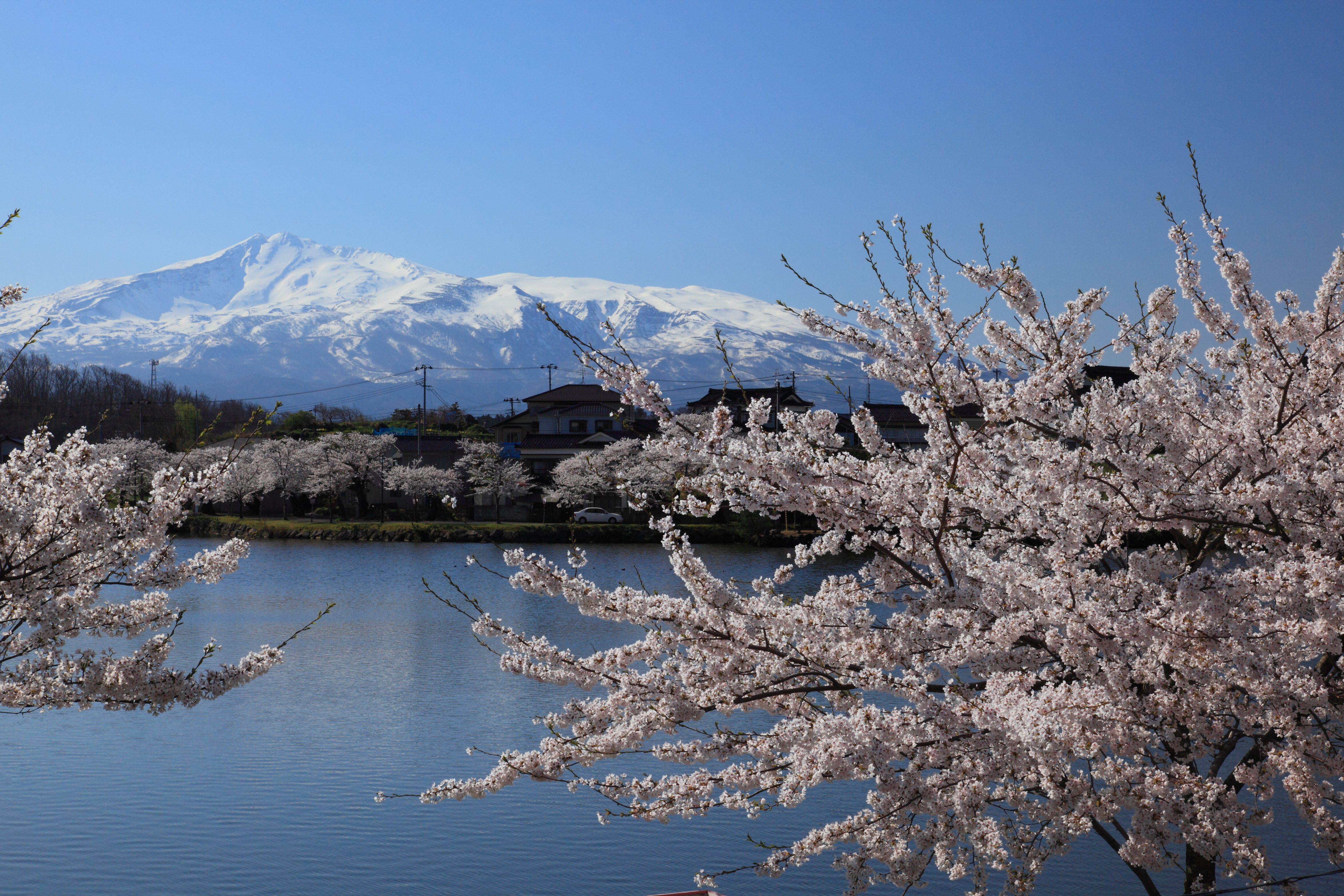 見た目はそのまま