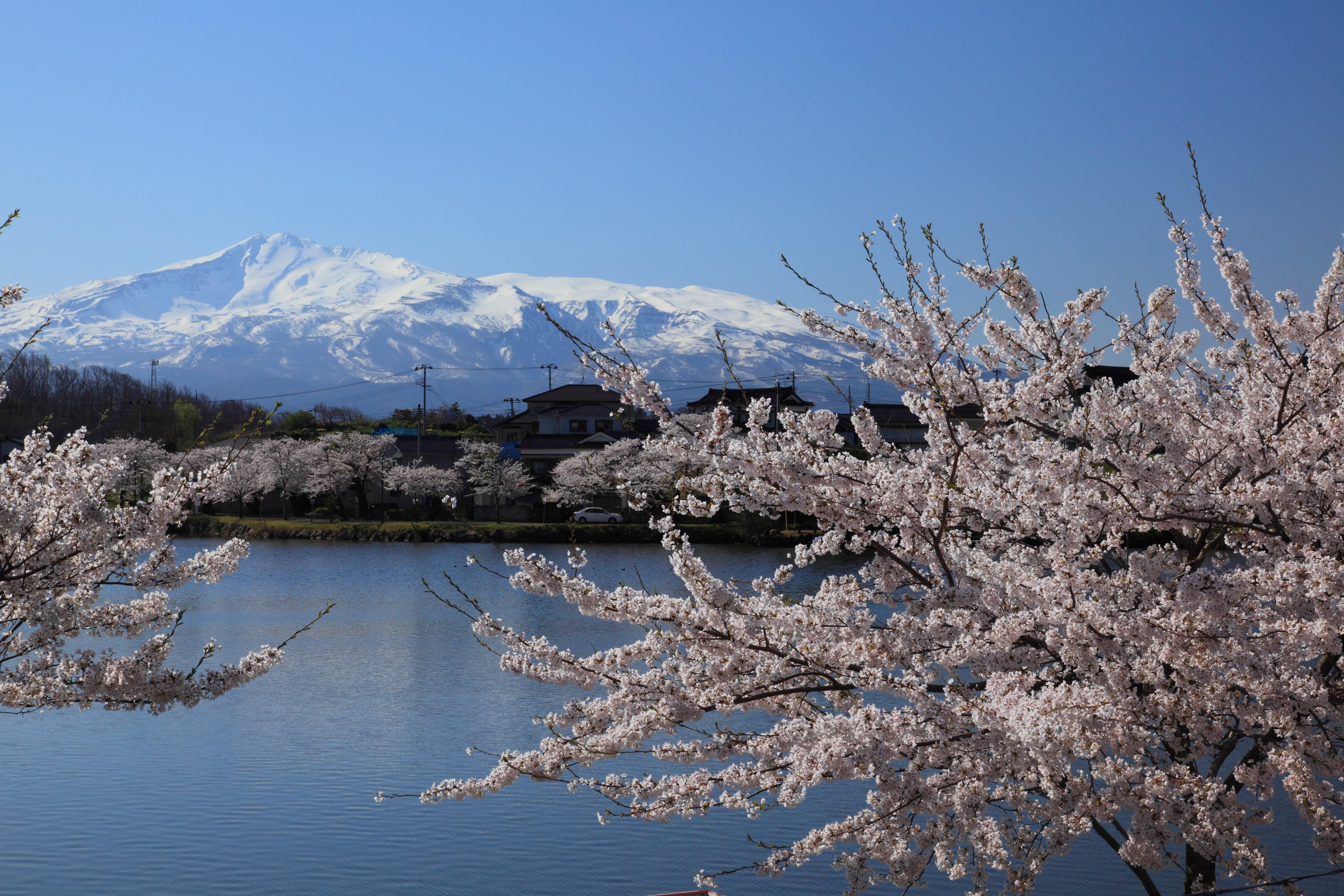 見た目はそのまま