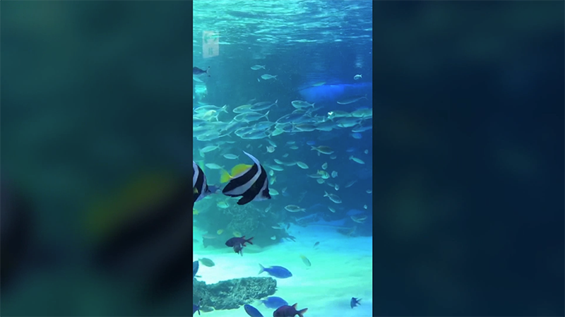 縦長動画もきれいに&nbsp;. 