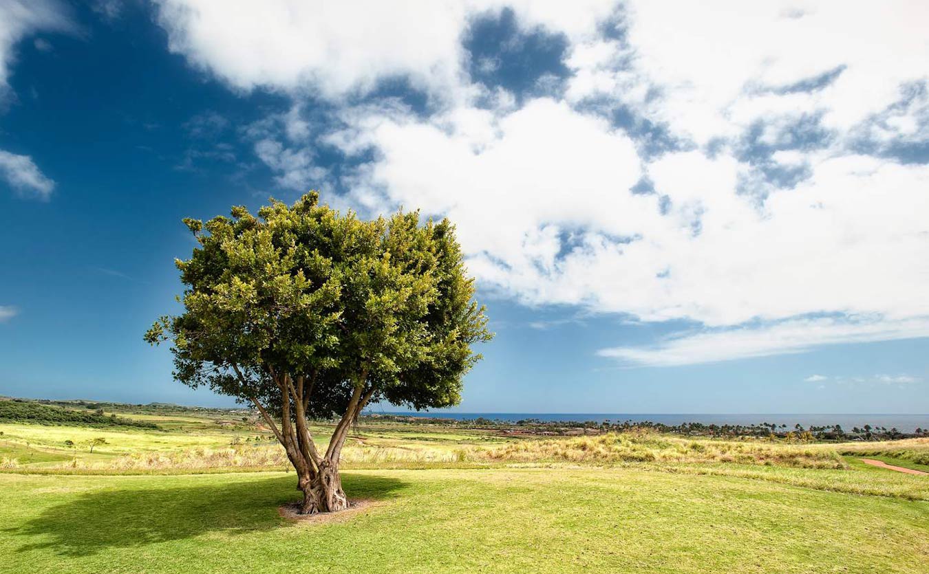 写真を絵画風に変換
